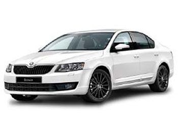12 seater