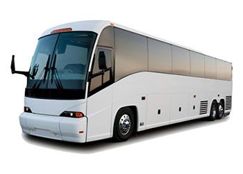 12 seater